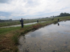 Experiment on controlling algal bloom in aquaculture ponds