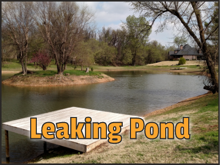 Link to Leaking Pond page