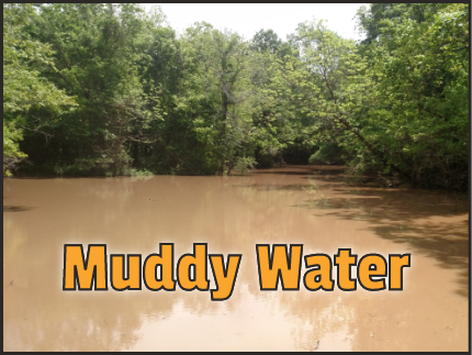 Link to Muddy Water page