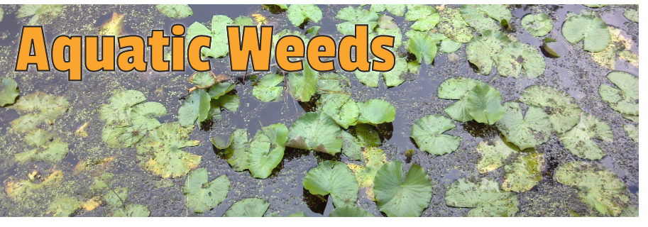 Aquatic Weeds page header