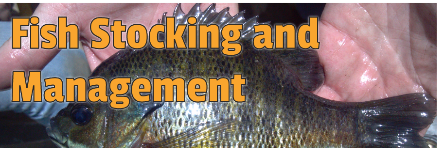 Fish Stocking and Management 