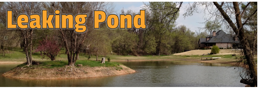 Leaking Pond page header